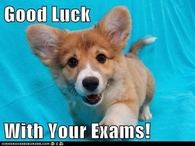 Good luck with your exams