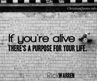There's a purpose for your life