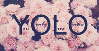 YOLO