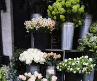 Outdoor flower market