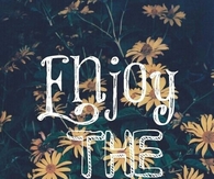 Enjoy the little things