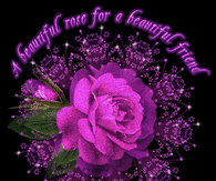 A beautiful rose for a beautiful friend