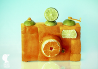 Citrus photography