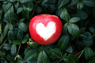 Heart carved out of an apple