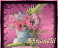 Have a beautiful day