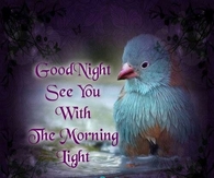 Good Night