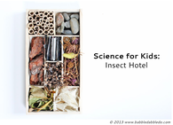 Insect hotel