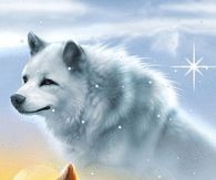 Two Wolf