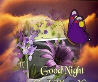 Good Night