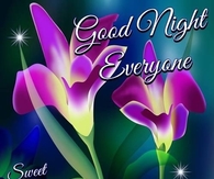 Good Night Everyone