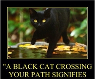 A black cat crossing your path