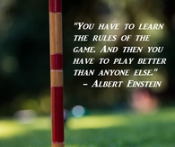 playing the game