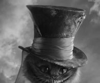 Mad Hatter Cat