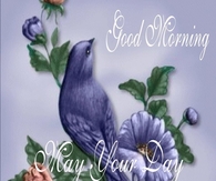 Good Morning