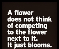 A Flower