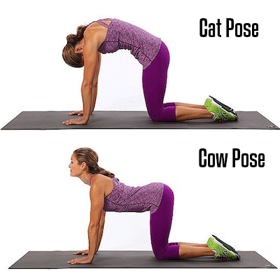 Cat and Cow pose