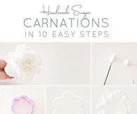DIY Carnations