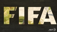 Organization Sports Federation