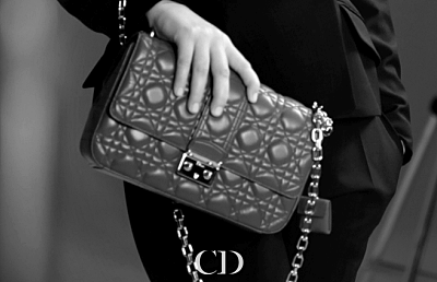 Dior Purse