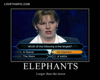 Elephants
