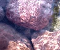 Flowing Water