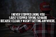 I Never Stopped Liking You