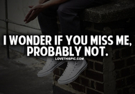 I Wonder If You Miss Me