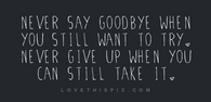 Never Say Goodbye