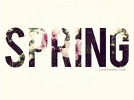 Spring Floral